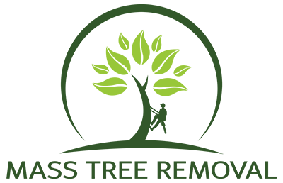 Mass Tree Removal