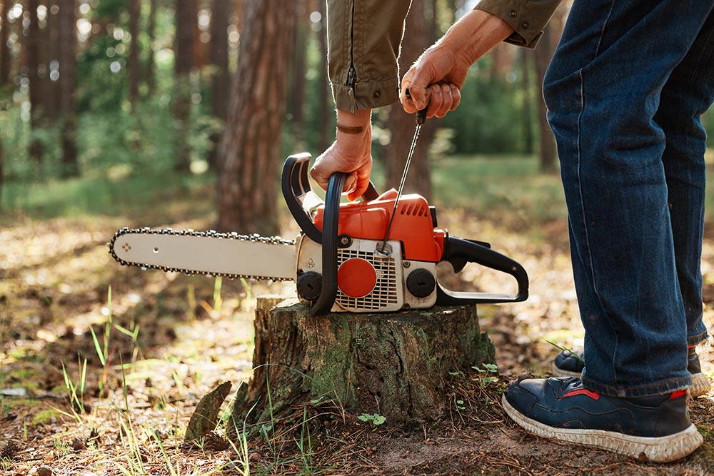 Stump Removal